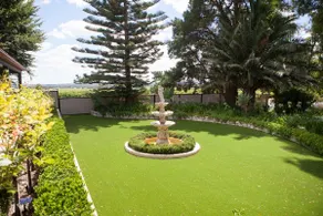 Vine View - Image 3