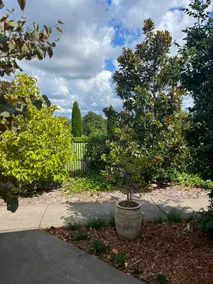 Blue Mountains Granny Flat - Image 5