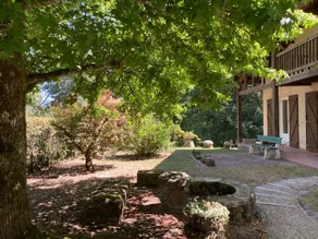 House in the heart of the Landes, natural spaces - Image 2