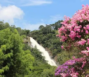 Recanto do Sol: Close to Cachoeira dos Pretos - Image 2