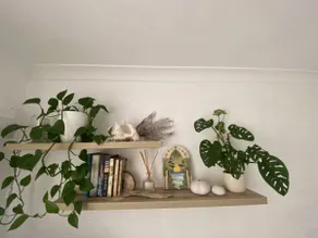Swell Villa 5 - Image 4