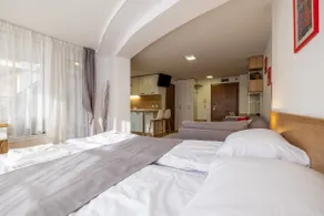 Top Shape Comfy Studio with Skyline Views - Image 3
