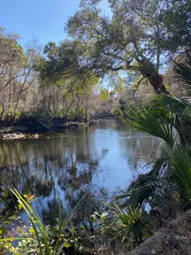 \"High On The River\" a quaint cabin resting along the upper Steinhatchee River. - Image 2