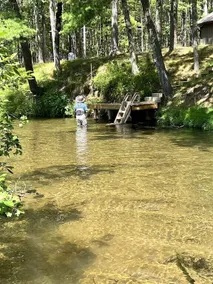 Old fashion Cabin, recently updated - On River - Image 5