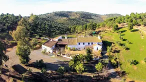 Old oil mill. Molino Don Zoilo Estate. - Image 4