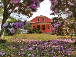Vô Osmar's Nook - Angelina SC - Image 2