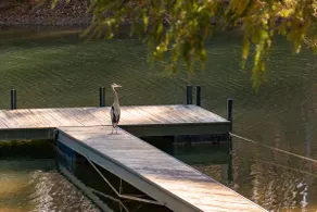 47% OFF! Lake Hartwell Georgia Cabin - Image 3