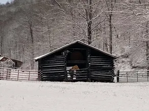 Third Hollow Farm - Image 2