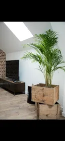Cozy apartment - Image 2