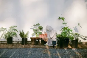 The Botanic Oasis - Image 4