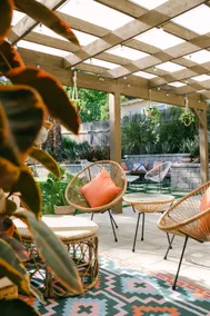 The Botanic Oasis - Image 2