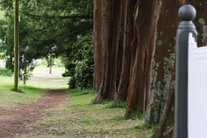 Find Romance at Camellia Cottage, Dandenong Ranges - Image 5