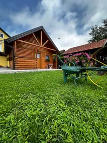 Holiday house Radić - Image 5