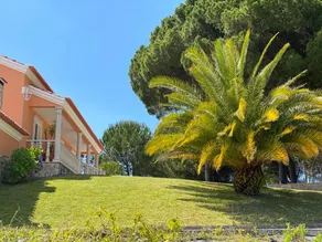 Quinta do Alto dos Pinheiros - Image 5