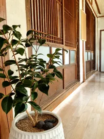 [Chewongjam] #Take the subway to #Choncangse #Enjoy the countryside house - Image 5
