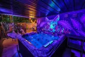 *Hot Tub*Game Room*Bar*Pizza Oven*Media Room*Grill - Image 2