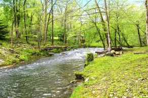 Sunny Creekside Getaway - Image 3