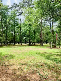 The House in the Woods - Image 5