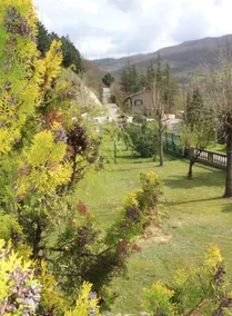 Villa Magnolia - Image 5
