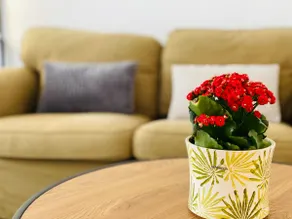 Church Hill Apartment - Image 3