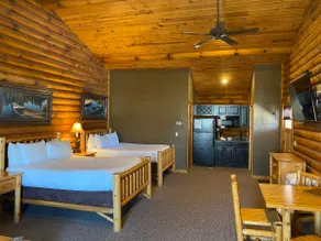 C53 - 2 Queen Beds, Hot Tub, Pet Friendly - Image 2