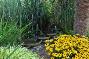 Cottage at the Anemone Pond - Image 2