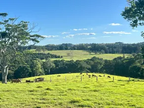 Picturesque Hinterland Escape - Image 2