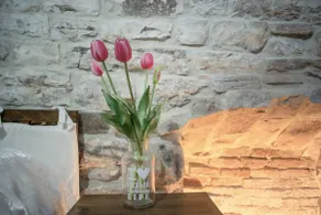 Studio in the historic center - Image 5