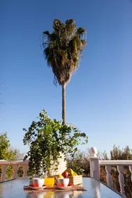 Casa Rural La Palmera - Image 3