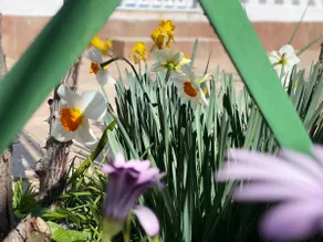 Mom's House - Image 4