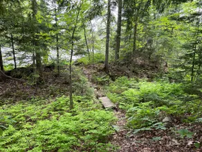 Grey Ghost Cabin - Image 4