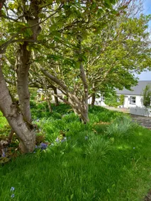 Blanket Nook at Malin Head. - Image 5