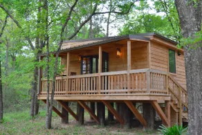 Texas Pines Luxury Cabin 20 Acres w/ Private Pond - Image 2