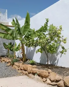 The Casina de Babiale - Image 5