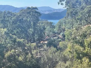 Private paradise with lake view (pet friendly) - Image 2