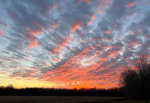 B’s Sunsets & Recreation - Image 2