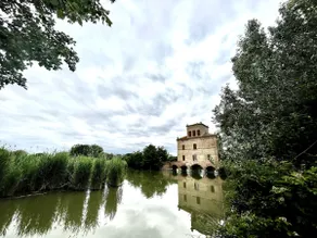 The Villa in the Delta - Image 5
