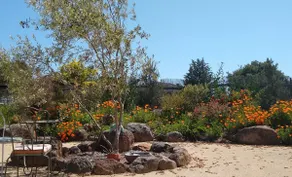Wine Country Gem - 1h from SF - Image 2
