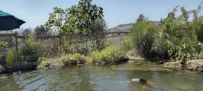 Wine Country Gem - 1h from SF - Image 4