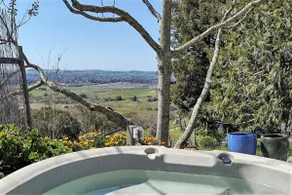 Wine Country Gem - 1h from SF - Image 3