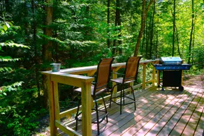 Secluded Lumberjack Cabin w/ Hot Tub, Pool & Lake - Image 4