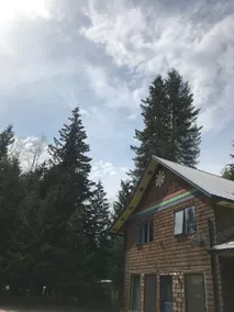 Black Forest Tree House - Image 2