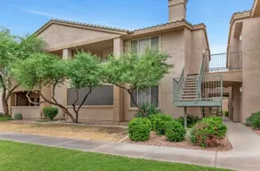 Spring Special in Arizona! - Image 2