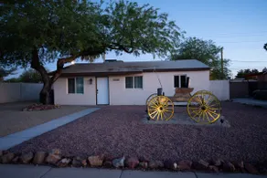 Mesquite - Image 2