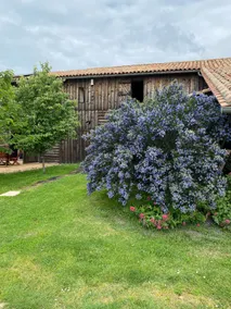 La Fenêtre, nature cottage, Moulon, Saint Emilion - Image 2