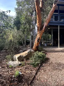 The Scout's House- Somers Beach - Image 4