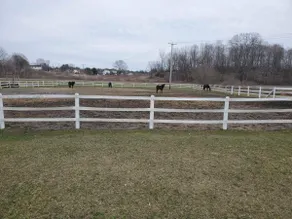 Farewell Jackson Racing Stables - Image 2