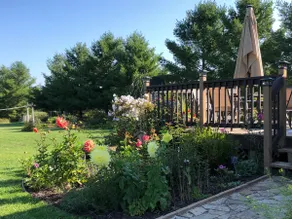 A Place To Call ‘Home’ - Image 3