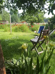 Apartment in Paretz with garden, 2 rooms. - Image 2