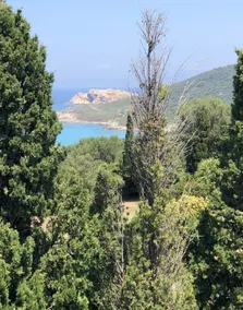 Apartment 2 overlooking the sea in Corbara - Image 2